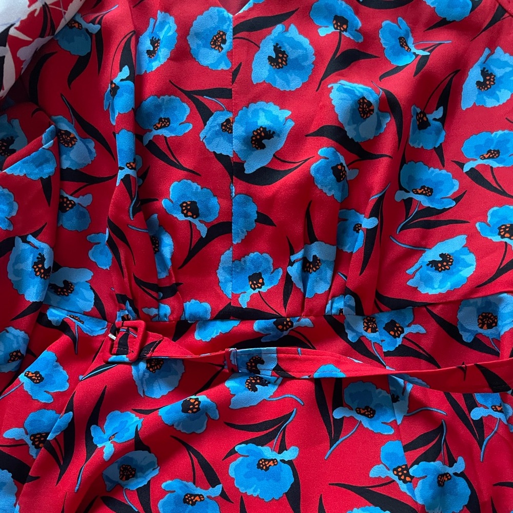 Ann Taylor Red Maxi Dress with Blue Floral Print - Picture 3 of 7